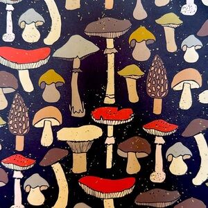 Meet your Posher, Callie